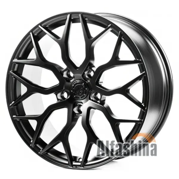 WS FORGED WS-115/1C 9.5x22 5x150 ET45 DIA110 SB