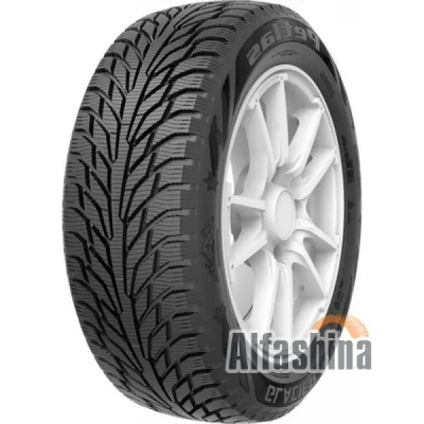 Petlas Glacier W661 185/65 R15 88T