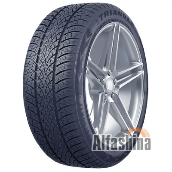 Triangle WinterX TW401 195/65 R15 95H XL