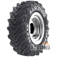 Ascenso TDR 650 (с/г) 540/65 R28 149D