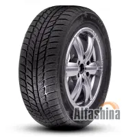 Roadx RXFrost WH01 205/60 R15 91H