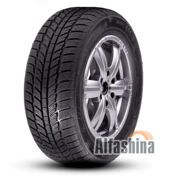 Roadx RXFrost WH01 205/60 R15 91H