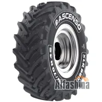 Ascenso XLR 880 (с/г) 600/70 R28 161D