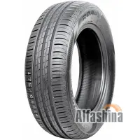 Roadx RXMotion H11 175/65 R14 82T