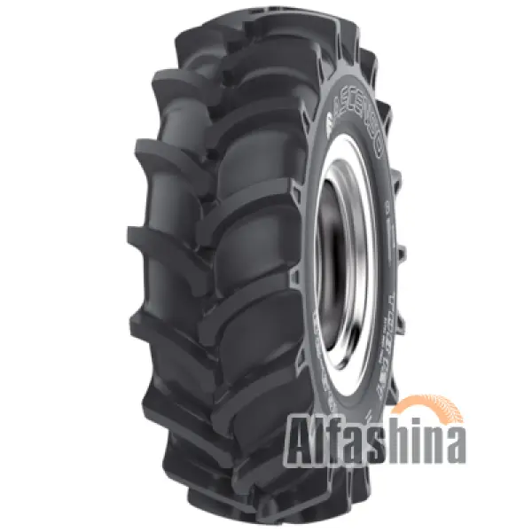 Ascenso TDB 121 (с/г) 9.50 R18 105A6/101A8 PR8 TT