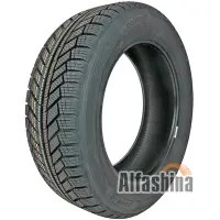 Point S Winter S 195/65 R15 91T