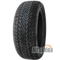 ZMAX Winterhawke I 205/55 R17 95H XL