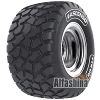 Ascenso FTR 176 (с/г) 710/65 R26 173D/170E