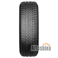 Paxaro INVERNO 225/45 R18 95V XL