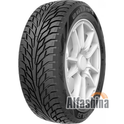 Petlas Glacier W661 225/55 R17 101T XL