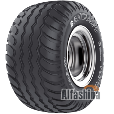 Ascenso IMB 161  (с/г) 400/60 R15.5 148A8/135A8 PR16