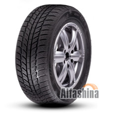 Roadx RXFrost WH01 205/55 R16 91H