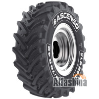 Ascenso XLR 880 (с/г) 600/70 R30 152D Ascenso XLR 880 (с/г) 600/70 R30 152D
