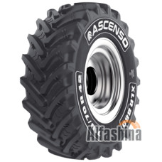 Ascenso XLR 880 (с/г) 650/75 R38 169D Ascenso XLR 880 (с/г) 650/75 R38 169D