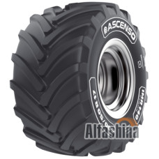 Ascenso IMR 140 (с/г) 425/55 R17 134D