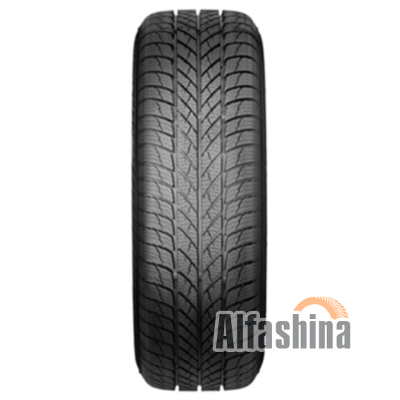 Paxaro INVERNO 225/45 R18 95V XL
